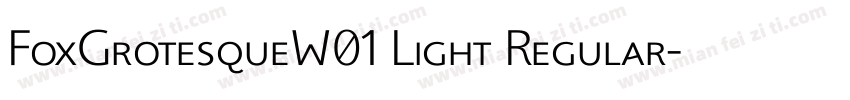 FoxGrotesqueW01 Light Regular字体转换